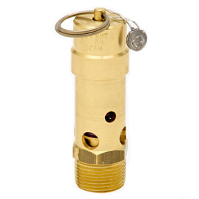 SB50-210 | 1/2" ASME Soft Seat Safety Valve 210 psi 813 SCFM